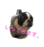 BUBU WORLD（個別スタンプ：31）