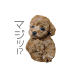 ビッグボーイなエイトと小悪魔むぎちゃん（個別スタンプ：14）