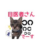 猫にゃ・にゃ・にゃ！part5（個別スタンプ：21）