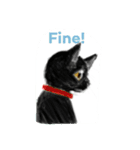 Cat Cat Cat.（個別スタンプ：4）