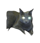 Russian Blue at Leon（個別スタンプ：7）