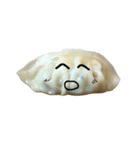 Little Gyoza（個別スタンプ：13）