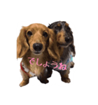 ソーちゃんの会②（個別スタンプ：11）