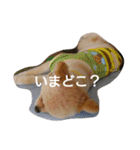 ポメラニアンの家族会話（個別スタンプ：34）