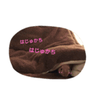 ねぇねぇだして！のうさぎさん（個別スタンプ：5）