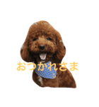 びびの日常♡（個別スタンプ：6）