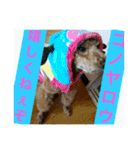 どーも！！！！BERUでーす！！part❷（個別スタンプ：9）