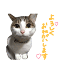 それいけぱつこ（個別スタンプ：5）