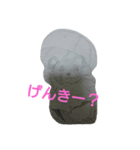 チュウ太郎一家（個別スタンプ：1）