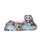 チュウ太郎一家（個別スタンプ：8）