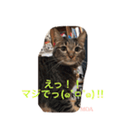 最愛 日常02（個別スタンプ：10）