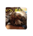 最愛 日常02（個別スタンプ：12）
