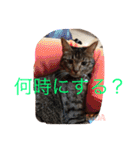 最愛 日常02（個別スタンプ：35）