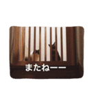 サト猫（個別スタンプ：7）