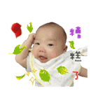 Corn baby life（個別スタンプ：24）