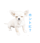 小悪魔ブラザーズ part2（個別スタンプ：6）