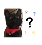 黒猫のレイちゃん（個別スタンプ：3）