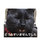 黒猫のレイちゃん（個別スタンプ：4）