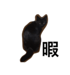黒猫のレイちゃん（個別スタンプ：8）