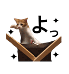 毎日のゆるかわにゃん。（個別スタンプ：34）
