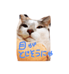 catmint3（個別スタンプ：7）