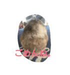 KUUUDA（個別スタンプ：6）