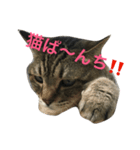 我が家 Qoo（個別スタンプ：1）