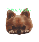 はなまるしゃん（個別スタンプ：10）