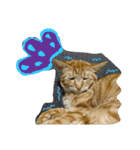 猫ひきじの番外編（個別スタンプ：15）