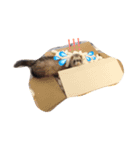 ちゅうえい(フェレット)（個別スタンプ：7）