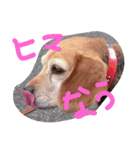 マリーちゃんの日常4（個別スタンプ：10）