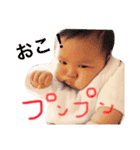 Kensta-01（個別スタンプ：5）
