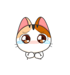 Gojill The Meow Animated V.1（個別スタンプ：16）
