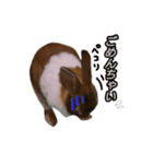 うさぎのうたちゃん（個別スタンプ：2）