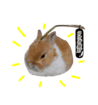うさぎのうたちゃん（個別スタンプ：8）
