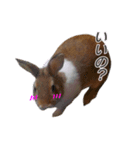 うさぎのうたちゃん（個別スタンプ：9）