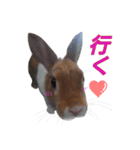 うさぎのうたちゃん（個別スタンプ：12）