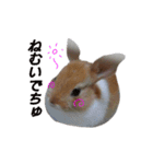 うさぎのうたちゃん（個別スタンプ：15）