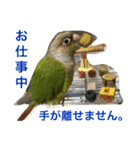 ウロコインコのろろちゃん（個別スタンプ：14）