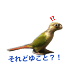 ウロコインコのろろちゃん（個別スタンプ：26）