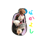 ゆかいなウチの子たち（個別スタンプ：22）