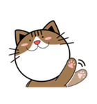 Pig and cats' happy life.（個別スタンプ：6）