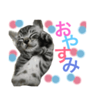 DIAMOND.DIANA（個別スタンプ：4）