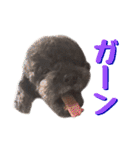 KURO THE DRAGON No.2（個別スタンプ：11）