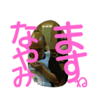 ラブり山ジョンナム3（個別スタンプ：16）