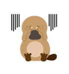 Ben The Platypus（個別スタンプ：13）
