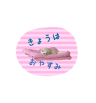 まっくすたんぷ修正版（個別スタンプ：4）