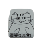 めがねをかけた猫（個別スタンプ：3）