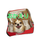 だいじなもの。（個別スタンプ：2）