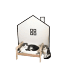 たんちゃちゃスタンプ（個別スタンプ：37）